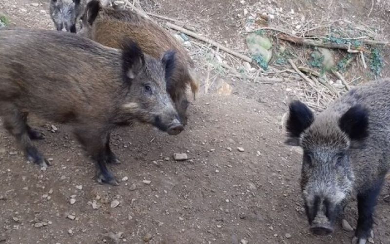 Slide 2
